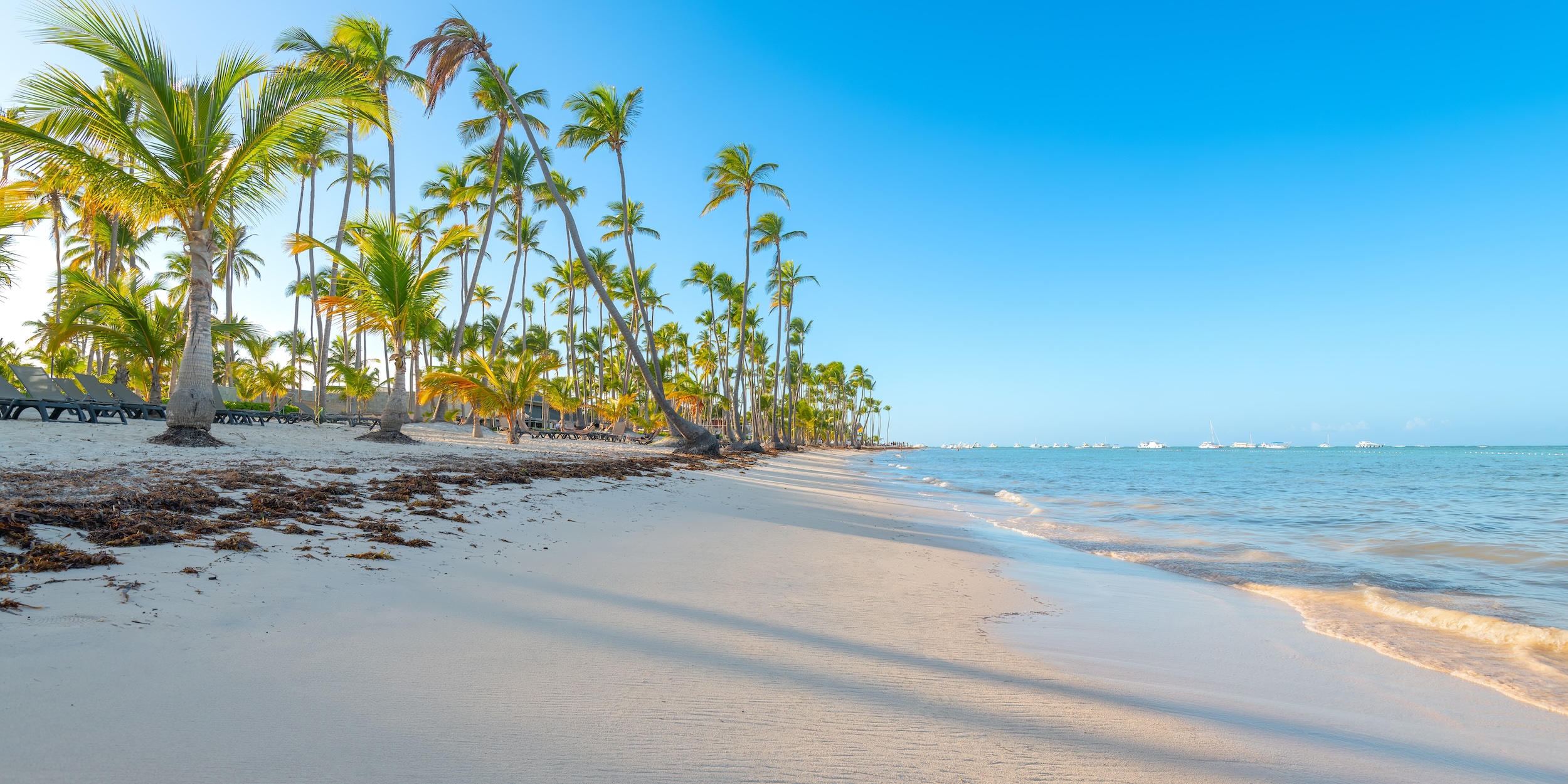 Punta Cana to Casa de Campo Transfer 